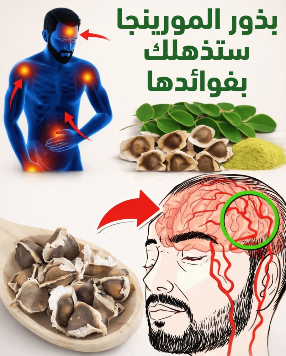 12 طريقة يمكن لبذور المورينغا من خلالها دعم صحتك وعافيتك اليومية
