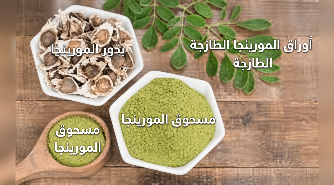 12 طريقة يمكن أن تدعم بها بذور المورينغا صحتك وعافيتك اليومية