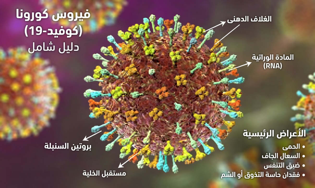 لماذا يحذّر مسؤولو الصحة: تجنّب تناول الفاكهة التي عضّتْها الخفافيش أو الطيور لتقليل خطر الإصابة بفيروس نيباه
