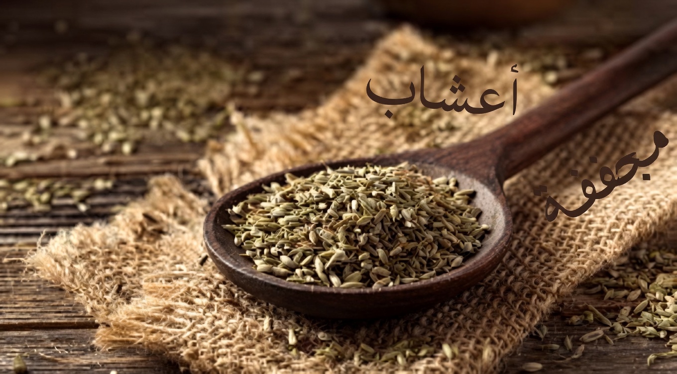 ٥ من أكثر الأعشاب شيوعًا لتحسين الدورة الدموية في الساقين (وما ينبغي أن تعرفه أولًا)