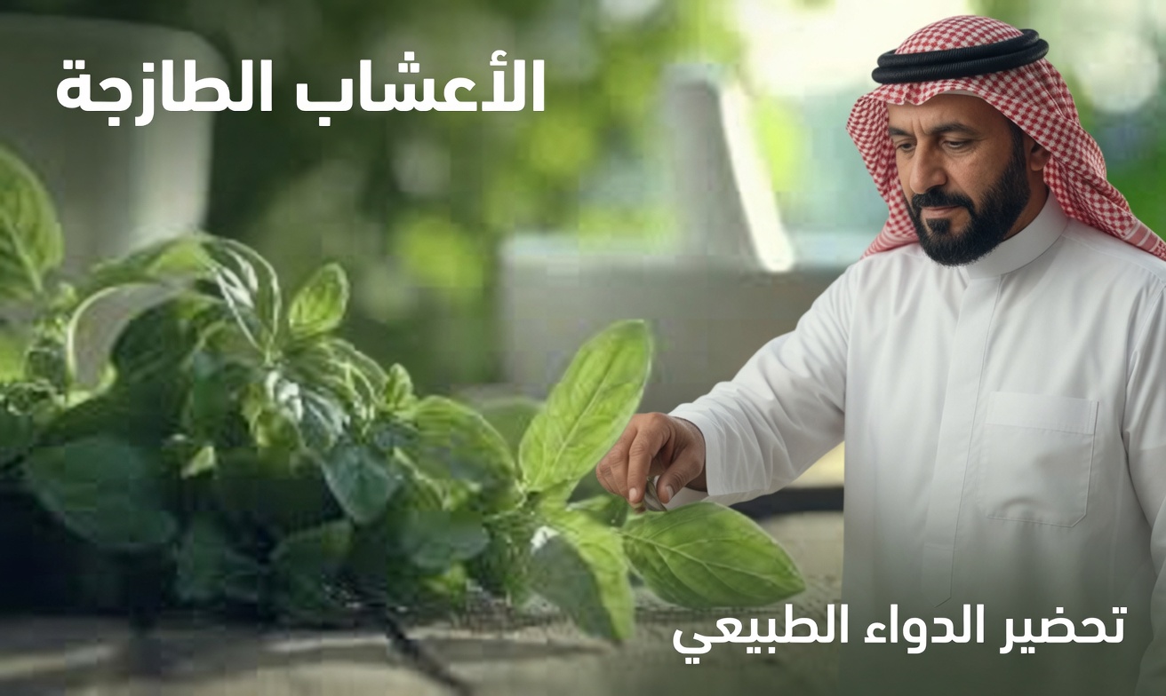 الأوريغانو لصحة العين: كيف يمكن لهذه العشبة البسيطة أن تساعد في حماية بصرك بشكل طبيعي