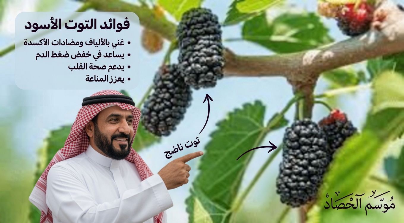 ورقة واحدة تخفض سكر الدم، وتذيب الدهون، وتُنظّف الشرايين بسرعة – العلم الصادم وراء القوة الخفية في الطبيعة