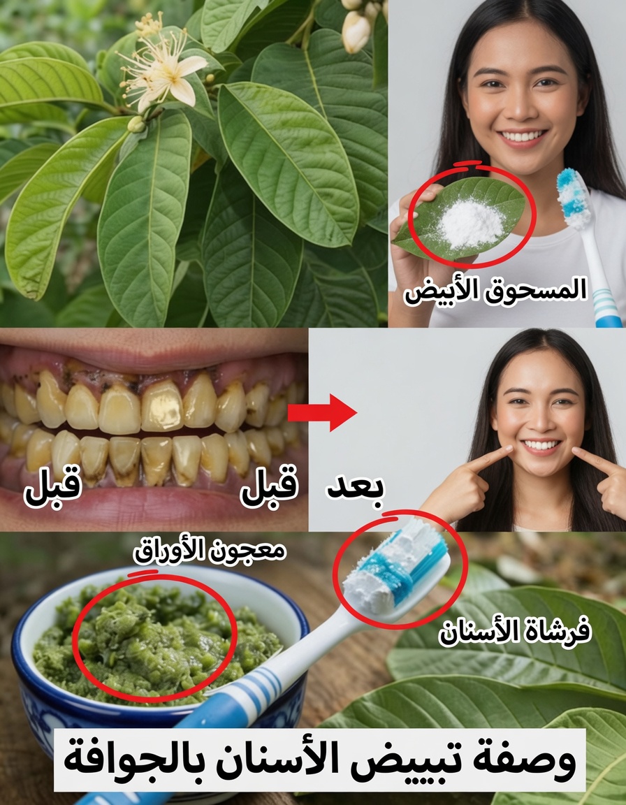 أفضل 3 طرق بسيطة قد تساعد بها أوراق الجوافة على تهدئة تسوس الأسنان وأعراض ألم الأسنان