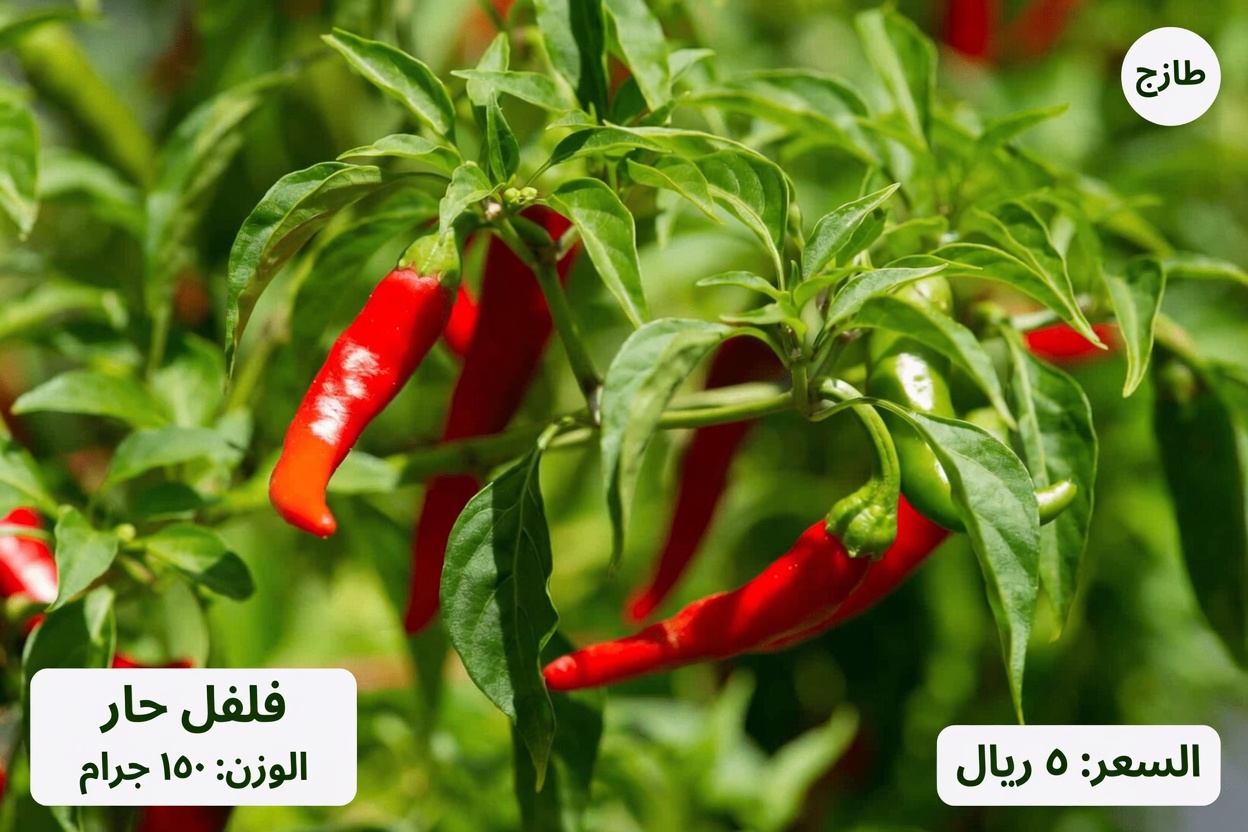 7 أطعمة يومية قد تساعد في دعم تدفق الدم الصحي وصحة القلب