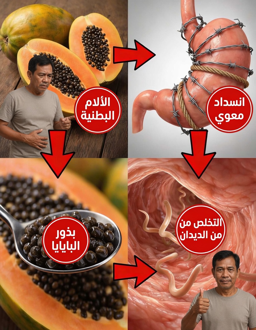 الغذاء الخارق المُهمَل في سلة فاكهتك: 14 فائدة مذهلة لبذور البابايا قد تُحوّل صحتك اليومية