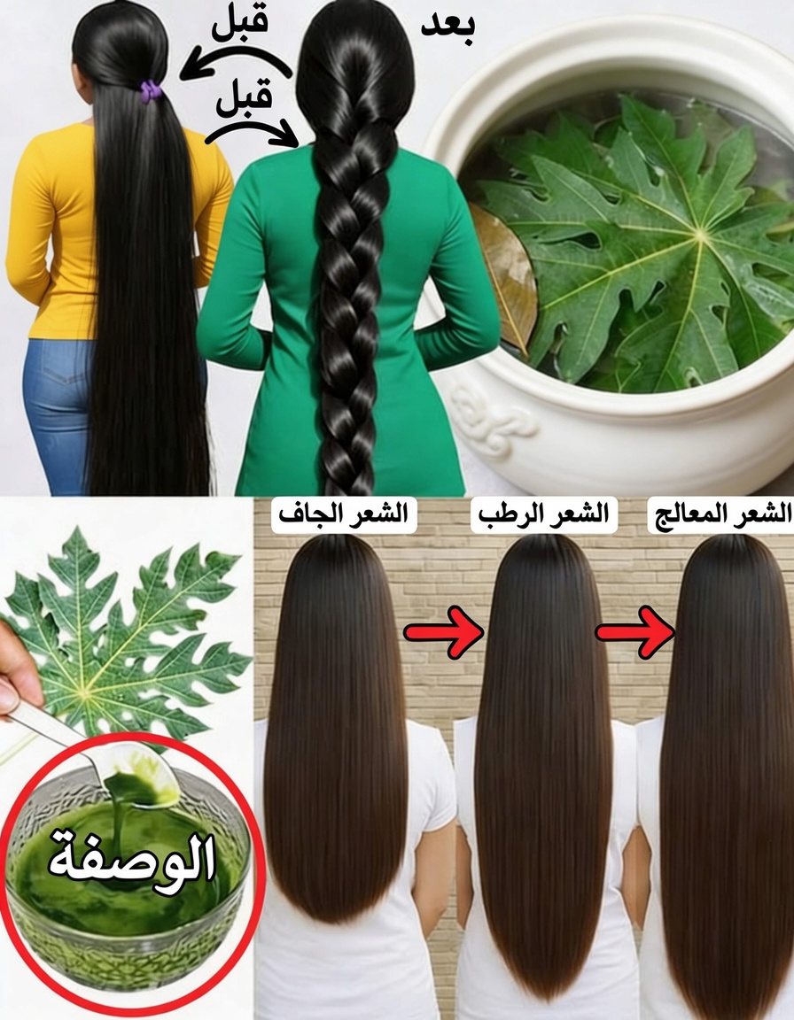 هل تساعد أوراق البابايا على نمو الشعر؟ طريقتان بسيطتان لاستخدامها لشعر أكثر صحة وراحة لفروة الرأس ودعم مكافحة القشرة
