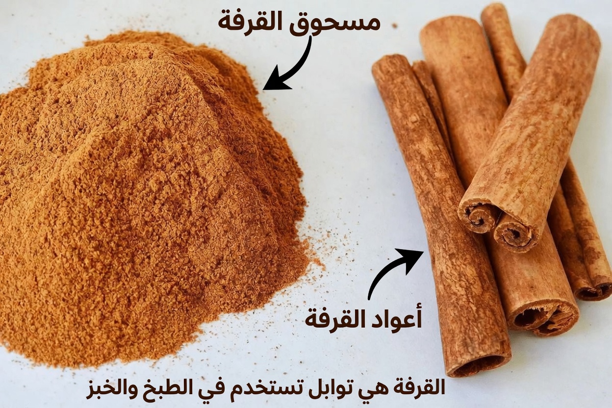 اكتشف 5 توابل شائعة قد تدعم صحة الكلى كجزء من روتينك اليومي