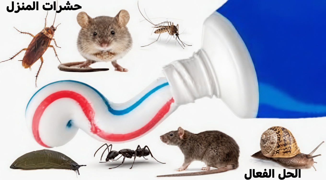 توقف عن إهدار المال على سموم الآفات: هل يمكن لمعجون الأسنان حقًا أن يساعد في إبعاد الفئران والصراصير والنمل؟