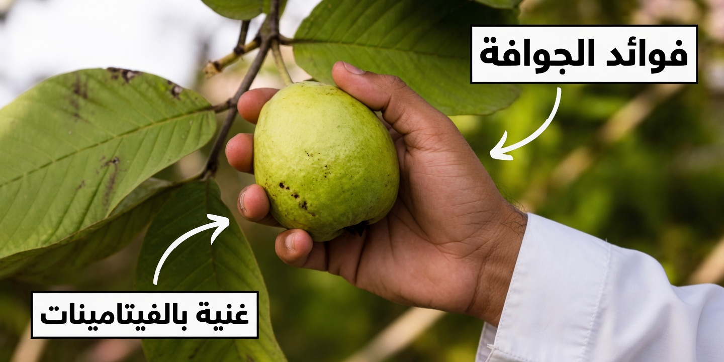 كيف يمكن للجوافة أن تدعم صحة العين بشكل طبيعي للأشخاص فوق سن الخمسين