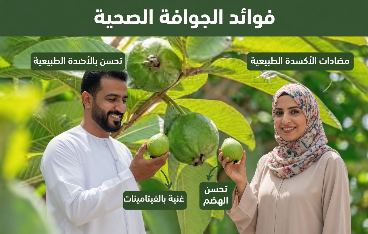 كيف يمكن للجوافة أن تدعم صحة العين بشكل طبيعي للأشخاص فوق سن الخمسين