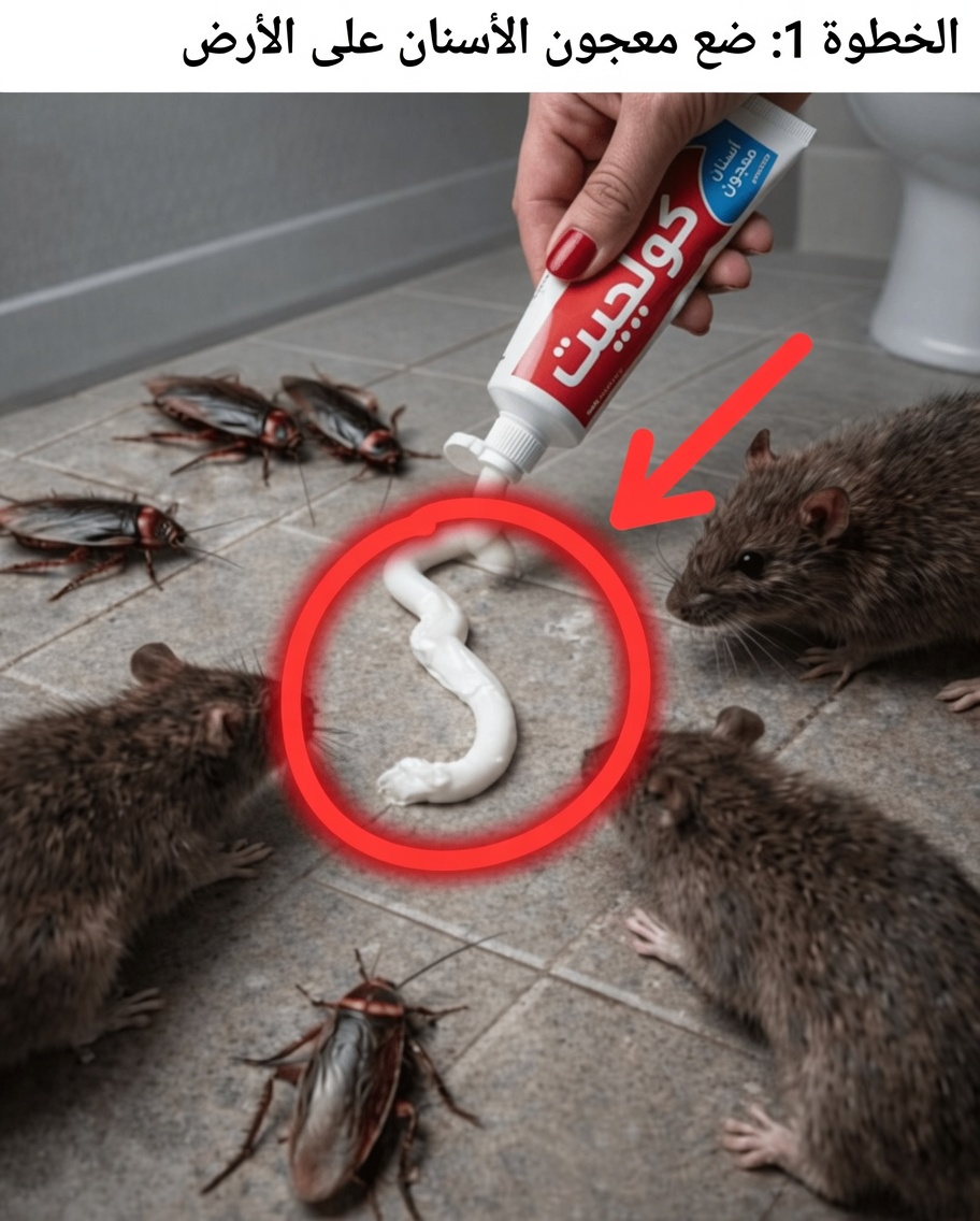 توقف عن إهدار المال على سموم الآفات: خدعة بسيطة بمعجون الأسنان تُغيّر المنازل في أنحاء أمريكا