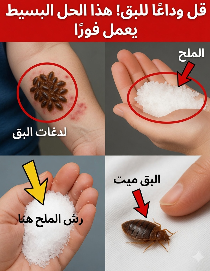 كيفية التخلص بشكل طبيعي من حشرات المنّ في حديقتك بسرعة باستخدام علاجات منزلية بسيطة