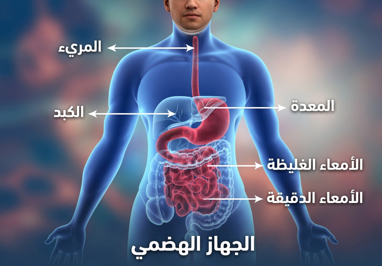 ما الذي قد يحدث لجسمك عند تناول الثوم على معدة فارغة لمدة 7 أيام