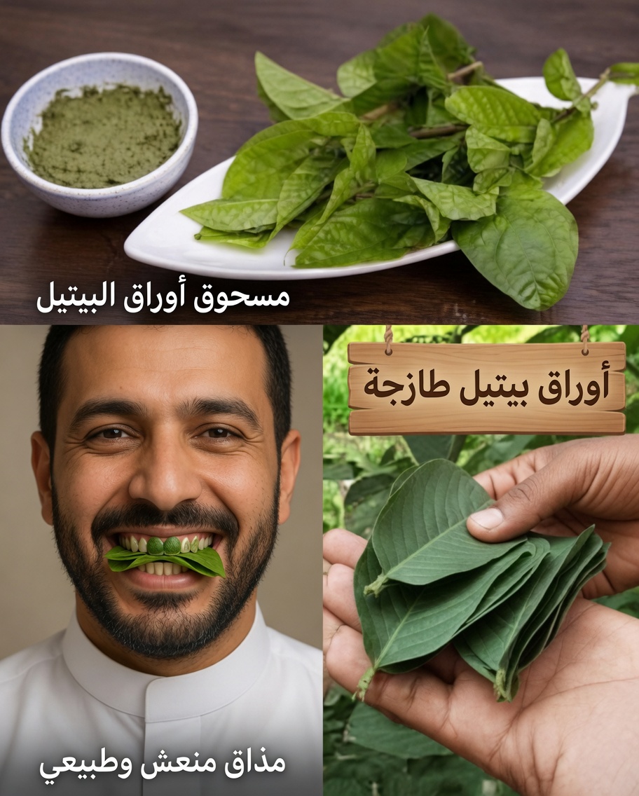 نصائح طبيعية بسيطة لإدخال أوراق الجوافة الطازجة في روتين العناية اليومية بنظافة الفم للحصول على انتعاش أفضل