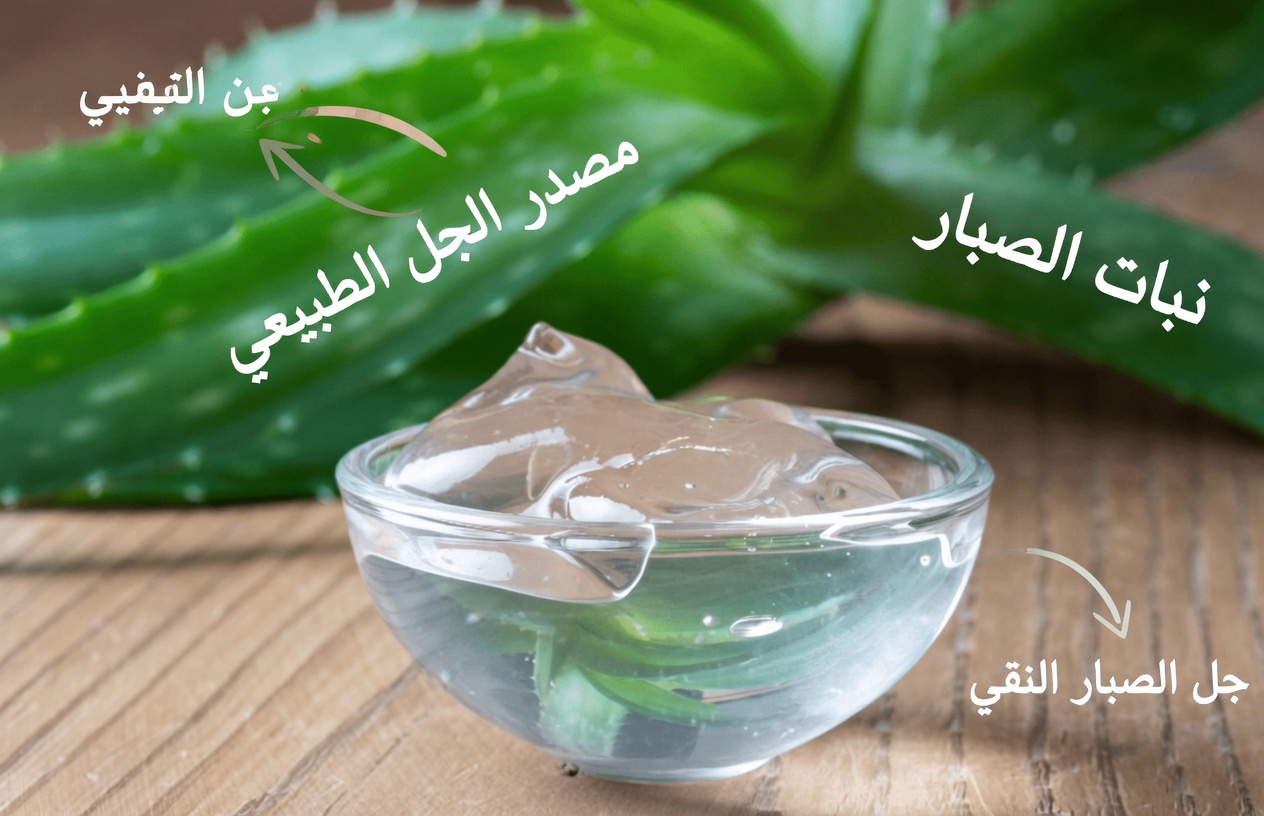 الألوفيرا لصحة العين: علاج طبيعي للاحمرار وجفاف العينين والتهيج
