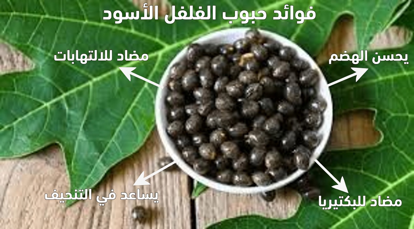 كيف قد تُوفّر بذور البابايا دعمًا طبيعيًا لطيفًا للهضم والعافية اليومية