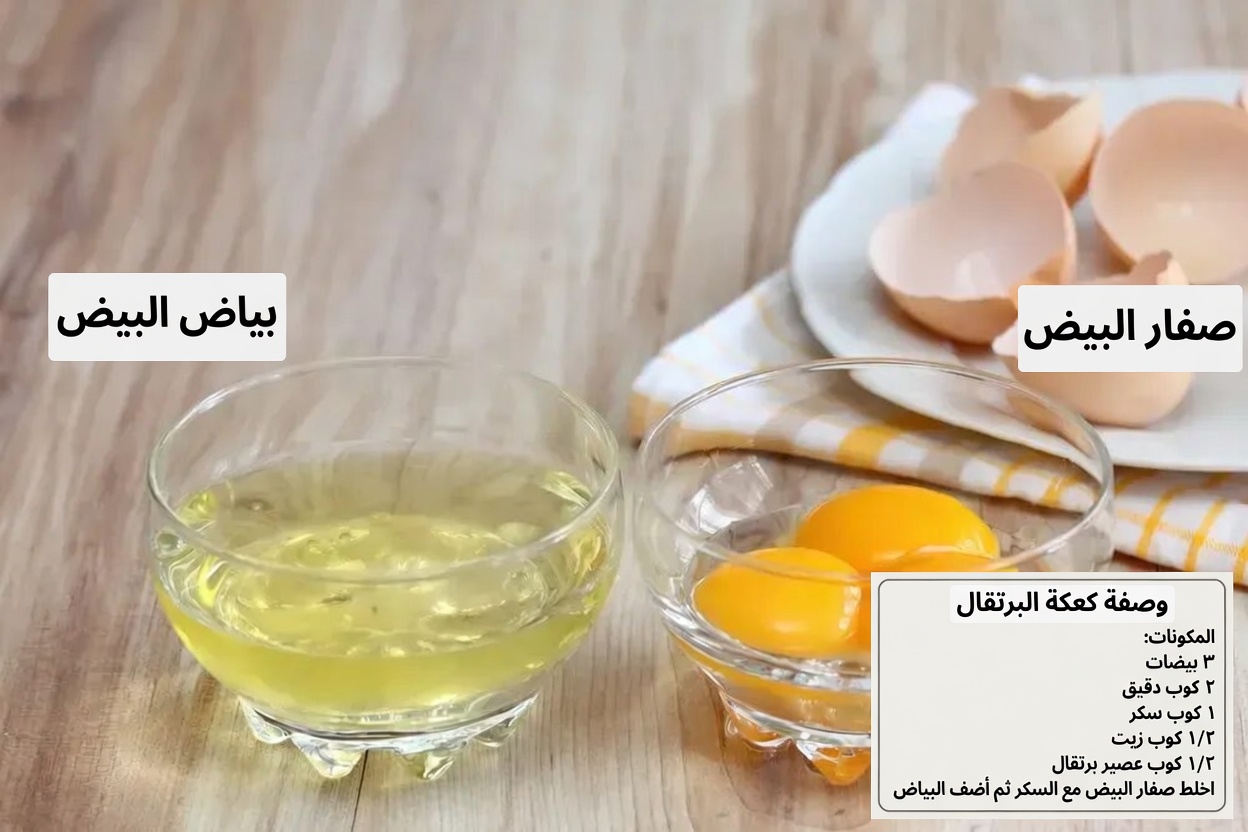 أفضل 10 أطعمة فائقة قد تدعم صحة الكلى وتساعد في إدارة البيلة البروتينية