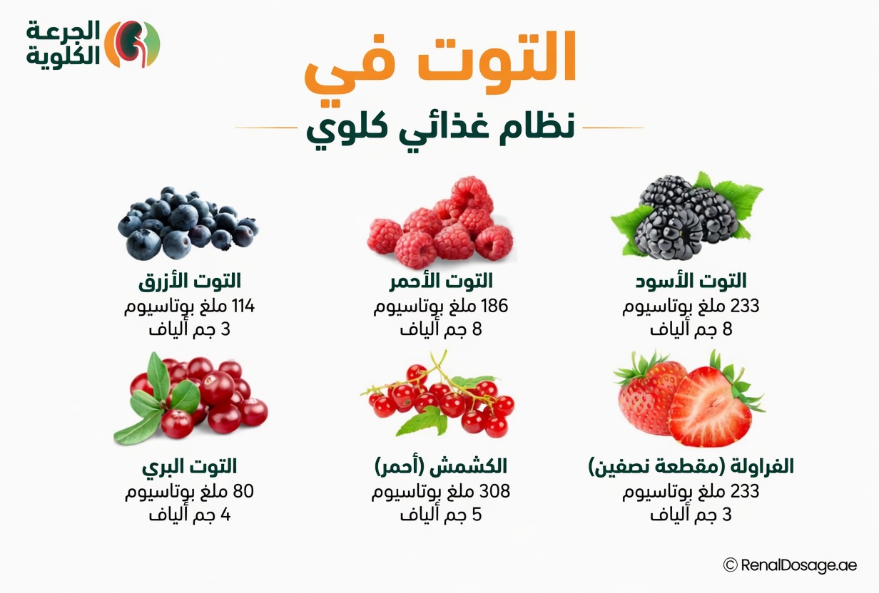 أفضل 10 أطعمة فائقة قد تدعم صحة الكلى وتساعد في إدارة البيلة البروتينية