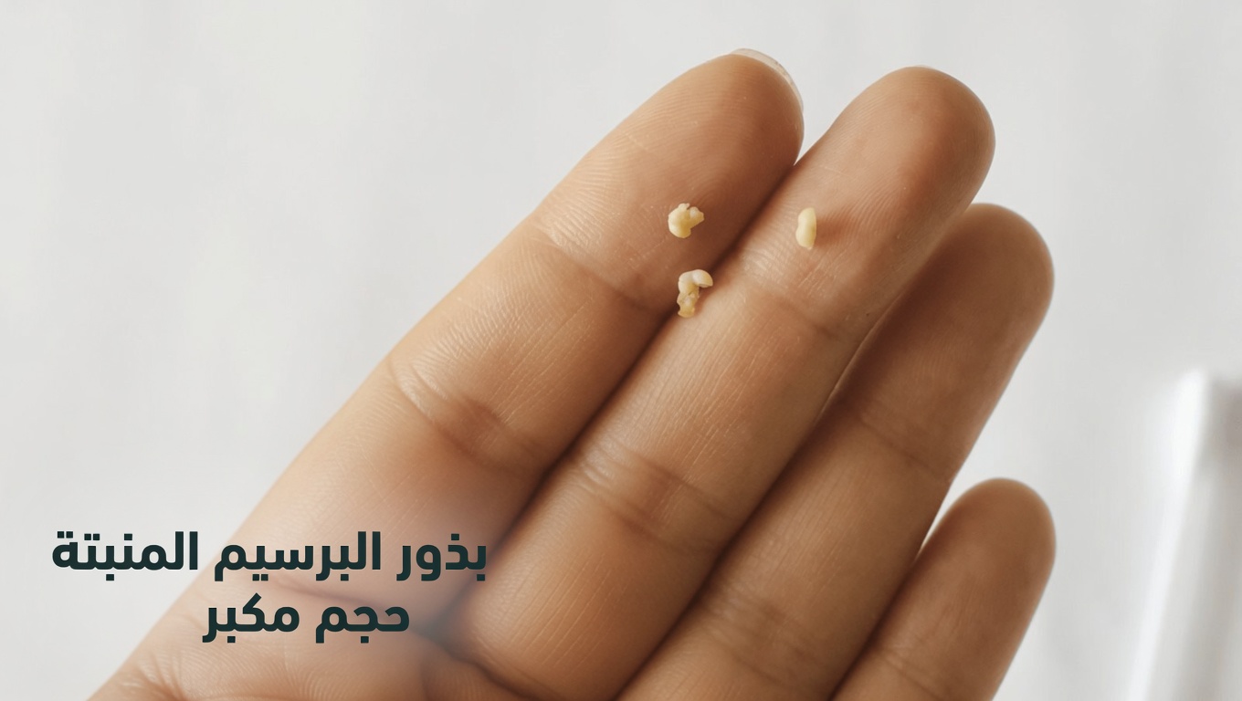 فهم حصوات اللوزتين: ما تحتاج إلى معرفته وكيفية التعامل معها