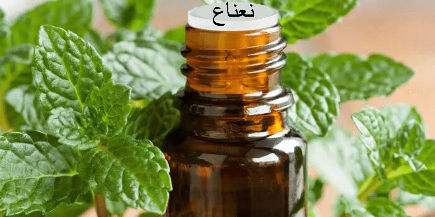 اللصّ الصامت: طرق طبيعية لدعم شرايينك دون اللجوء إلى الصيدلية