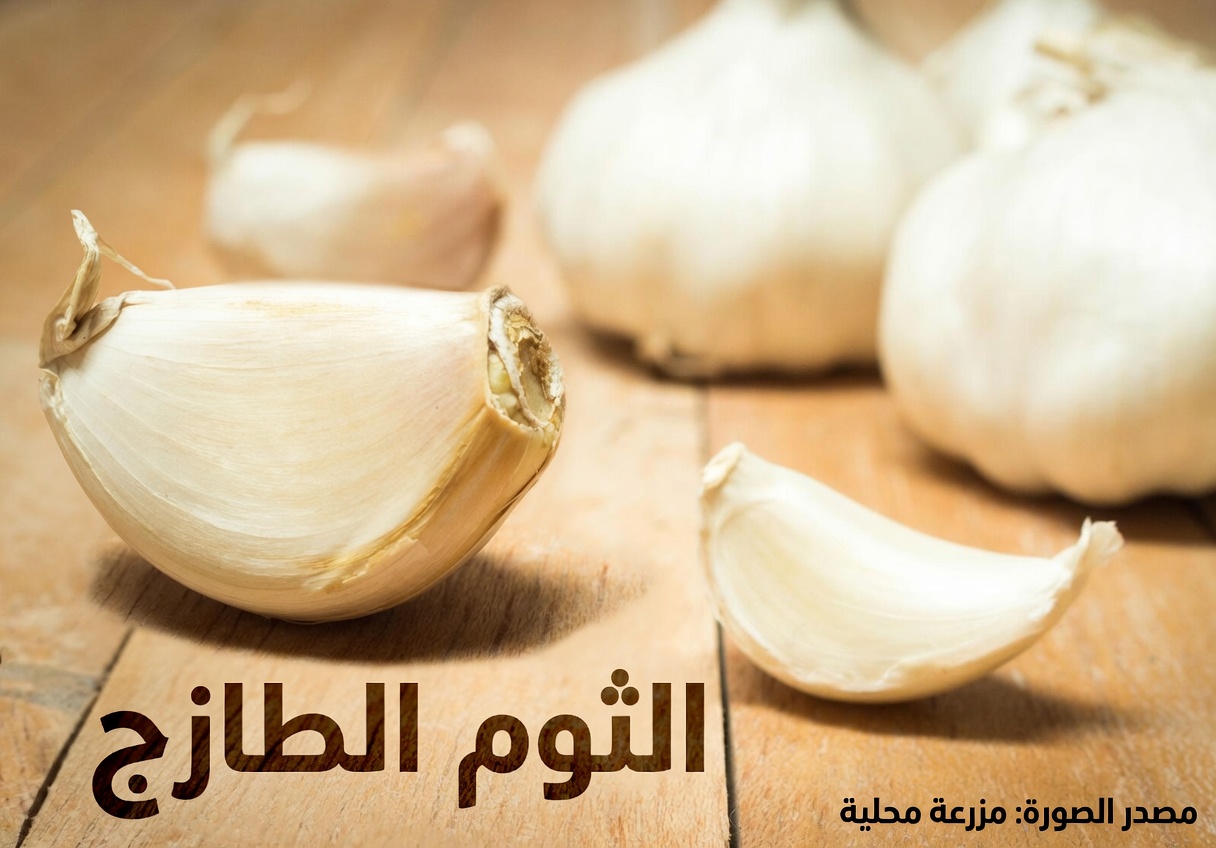 أفضل 5 خضروات لا بد من تناولها للمساعدة في خفض الكرياتينين طبيعيًا! (لا تفوّت هذه!) نصائح صحية لكبار السن