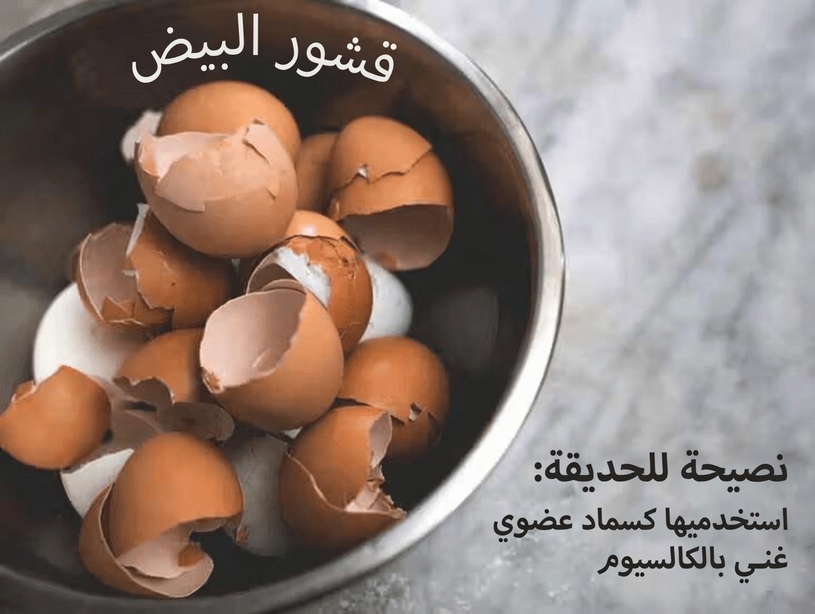 عندما تفقد ركبتك الكولاجين، تكون قشور البيض المنقذ الطبيعي الذي تحتاجه!