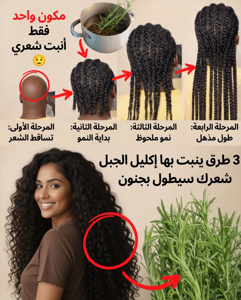 سر الشعر الأكثر كثافة—لماذا قد يكون إكليل الجبل هو الحل