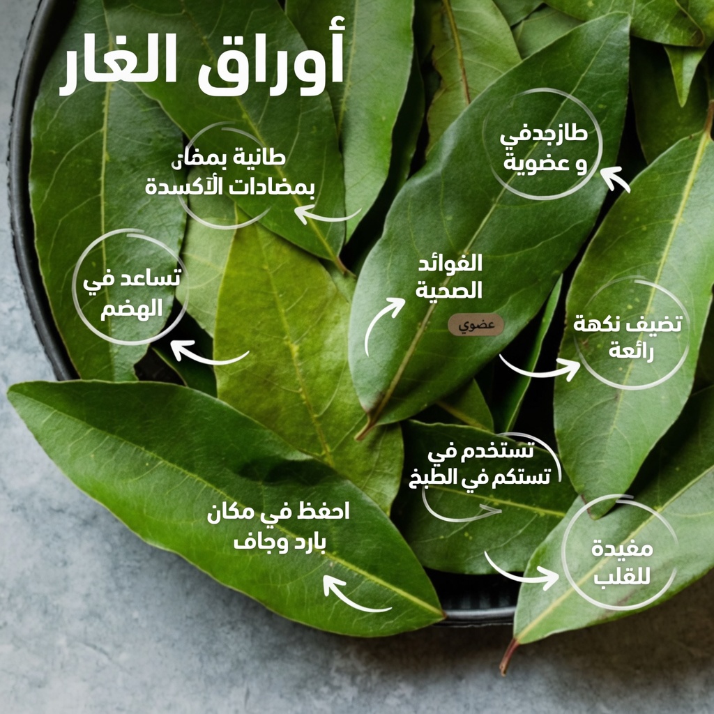 ورق الغار للبشرة المتقدمة في السن: عادة مطبخية مفاجئة تستحق المعرفة؟