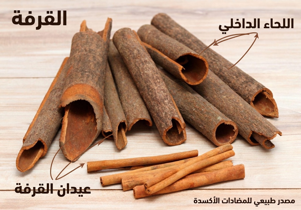 تحذير من القرفة لكبار السن: هل تفوّت هذه العادة اليومية لصحة القلب والتحكم بالسكر؟