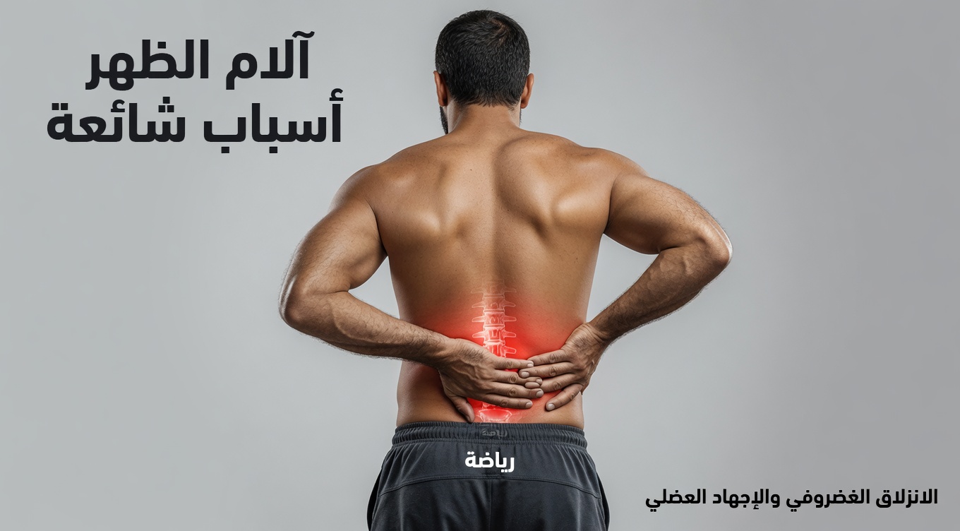 أوراق عشبية لدعم الكلى: 8 علامات قد تشير إلى أن كليتيك تحتاجان إلى اهتمام وخيارات طبيعية لطيفة