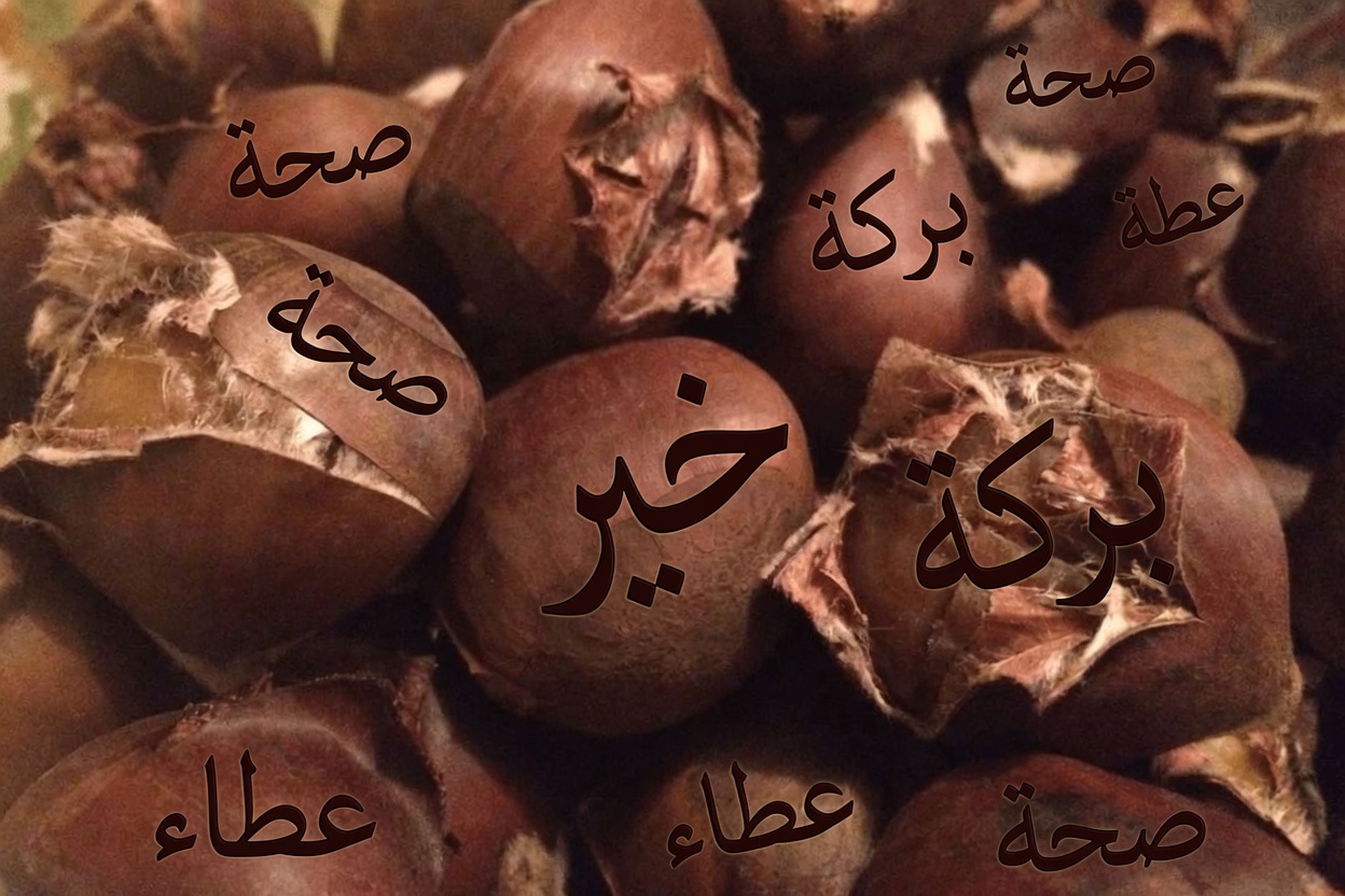 ارتفاع الكرياتينين؟ تخلَّ فورًا عن هذه المكسرات الثلاث – واختر بدلًا منها هذه الثلاث (كليتاك ستشكرانك غدًا)