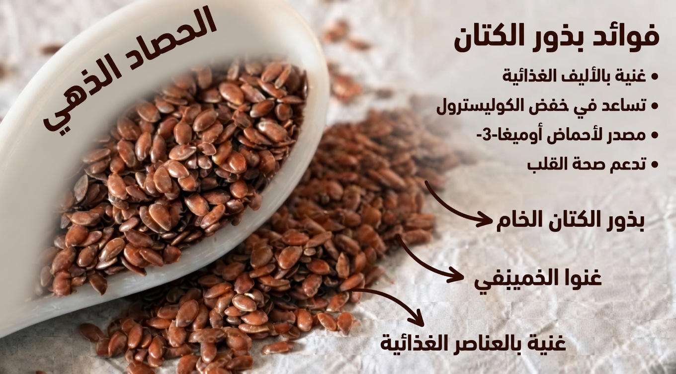 ارتفاع الكرياتينين؟ تخلَّ فورًا عن هذه المكسرات الثلاث – واختر بدلًا منها هذه الثلاث (كليتاك ستشكرانك غدًا)