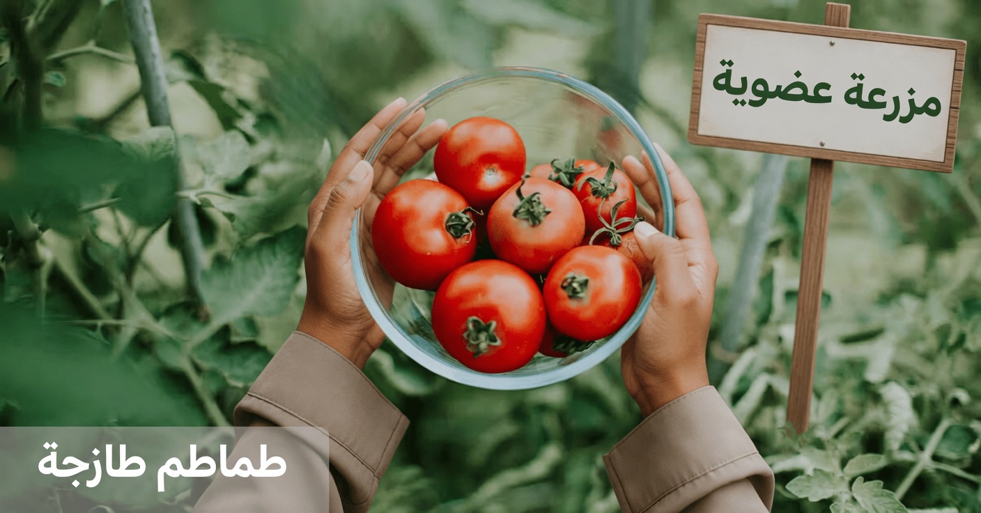 ما العادات اليومية التي قد تساهم في مشكلات تضخّم البروستاتا لدى الرجال فوق سن الخمسين وكيفية التعامل معها؟