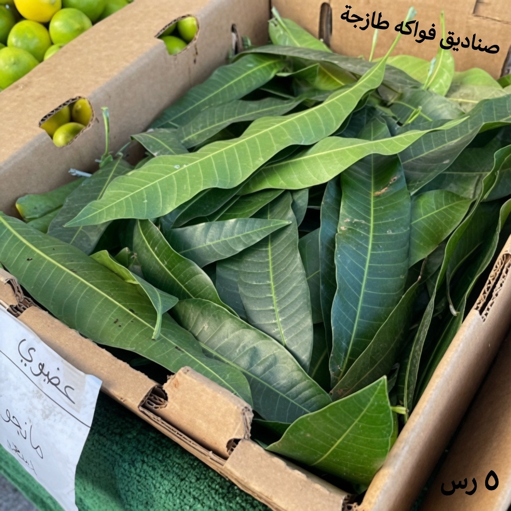 أوراق المانجو: اكتشف فوائدها الخفية واستخداماتها اليدوية بنفسك