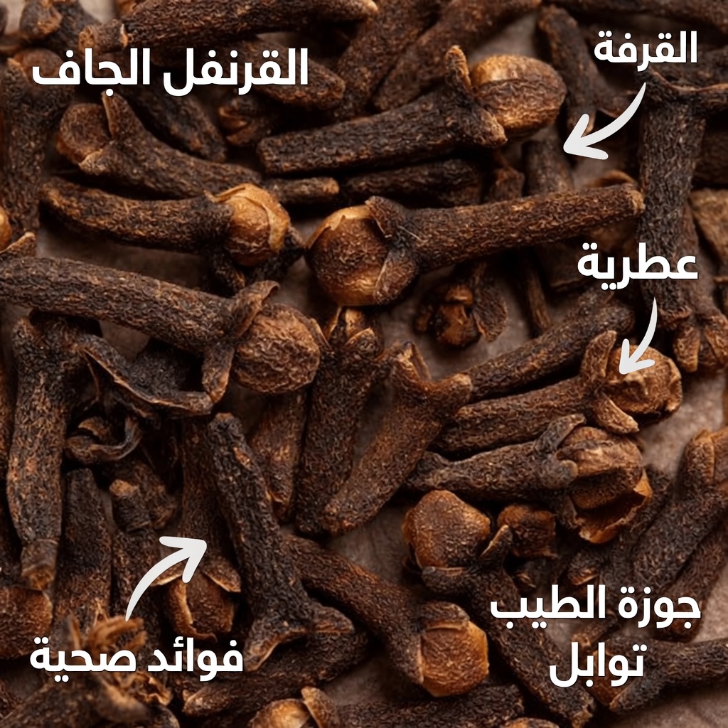 هل تمضغ فصًا واحدًا يوميًا؟ العادة الصغيرة التي يندم كثير من كبار السن على تجاهلها