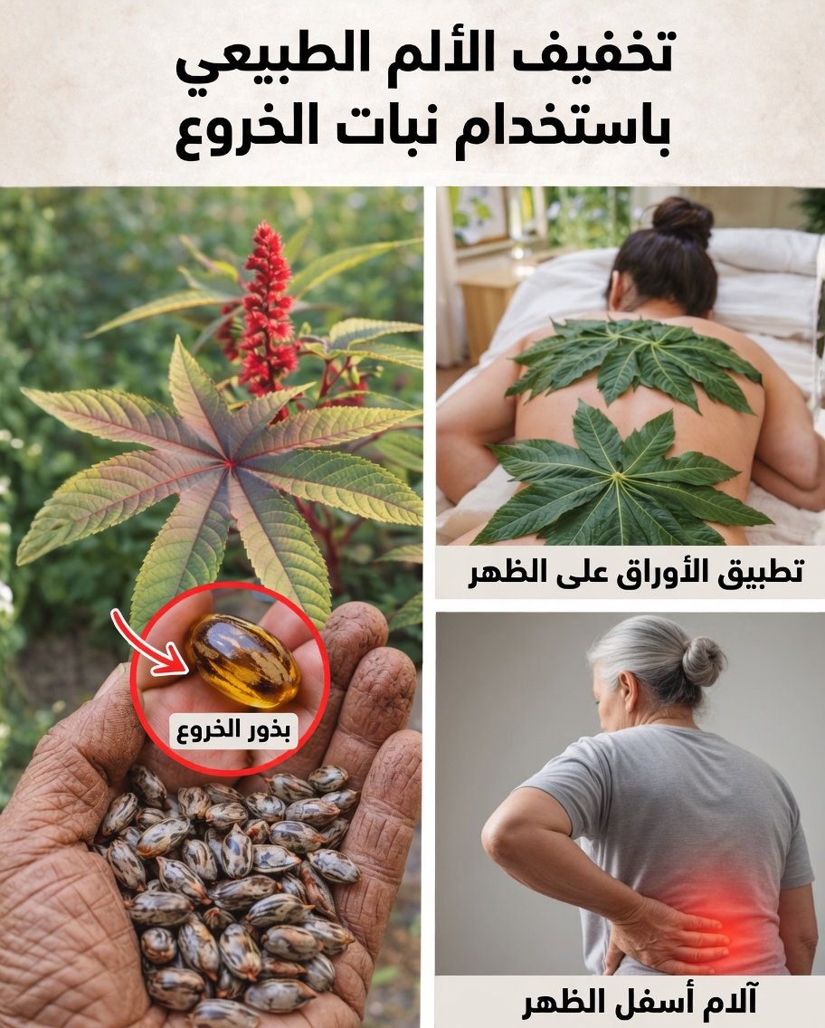 هل يمكن أن يكون هذا الزيت البسيط هو الخطوة المفقودة في روتين العناية الذاتية اليومي الخاص بك؟