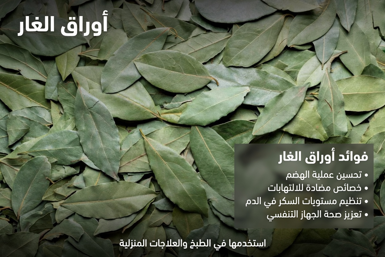 لماذا قد توفّر أوراق الغار دعماً طبيعياً لصحة الرجال