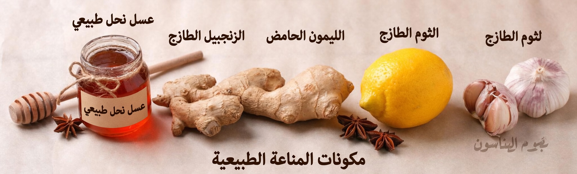 الزنجبيل والقرنفل: فوائد صحية قوية، الاستخدامات، وكيفية تحضير منقوع علاجي