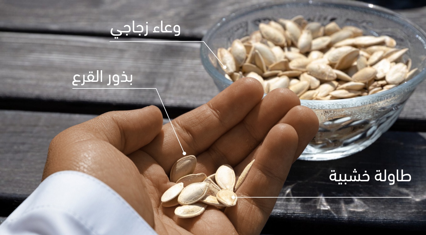 6 بذور أساسية لتعزيز مرونة جسمك الطبيعية بعد سن الخمسين – لا تفوّت هذا الدليل