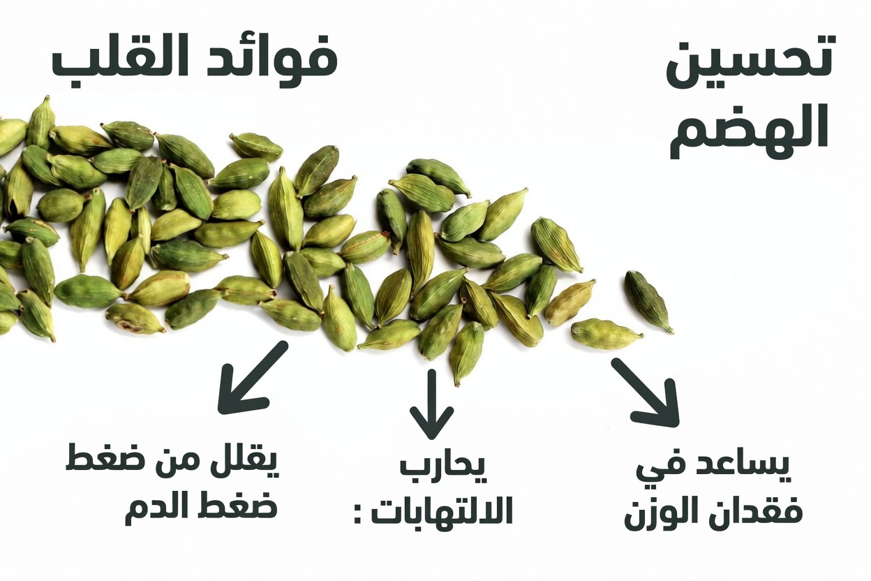 فوائد الهيل المدهشة: اكتشف 18 طريقة لتعزيز رفاهيتك