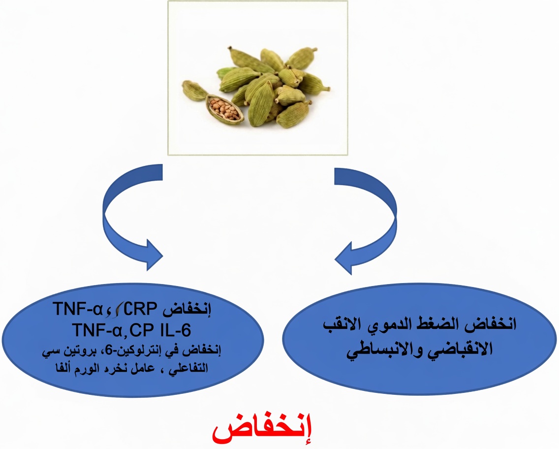 فوائد الهيل المدهشة: اكتشف 18 طريقة لتعزيز رفاهيتك