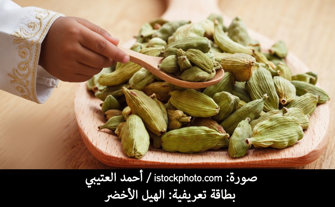 فوائد الهيل المدهشة: اكتشف 18 طريقة لتعزيز رفاهيتك