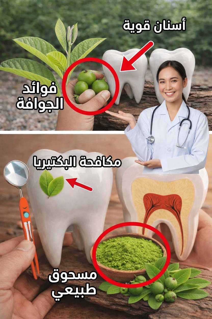 3 طرق بسيطة قد تساعد بها أوراق الجوافة في تخفيف انزعاج الأسنان وتحسين صحة الفم