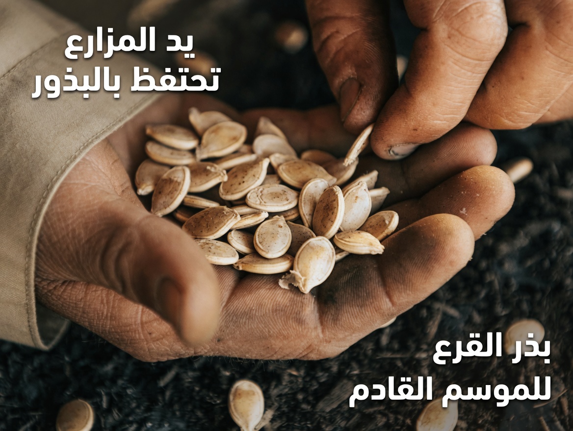 القوة السحرية لبذور اليقطين — علاج الطبيعة المنسي!