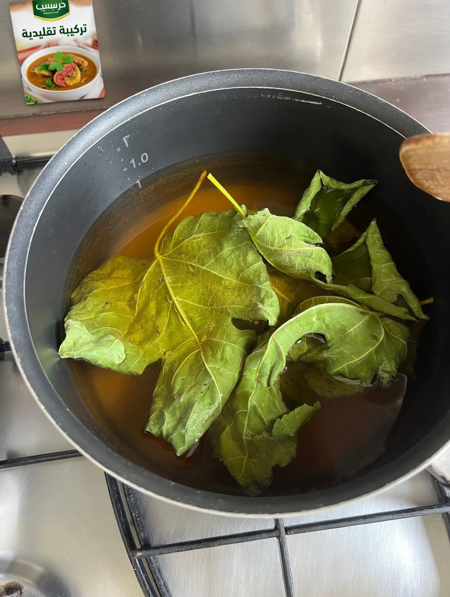 أوراق التين: الورقة المنسية التي يتجاهلها كثير من كبار السن… هل يمكن أن تدعم الصحة اليومية؟