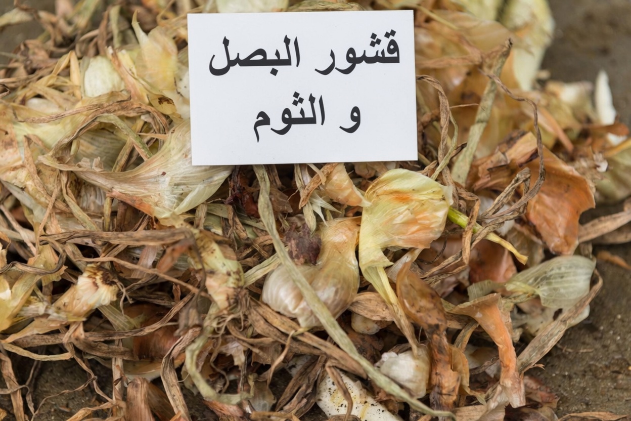 شاي قشور البصل للمثانة والبروستاتا: العادة المطبخية المنسية التي يعيد اكتشافها العديد من الرجال الأكبر سنًا