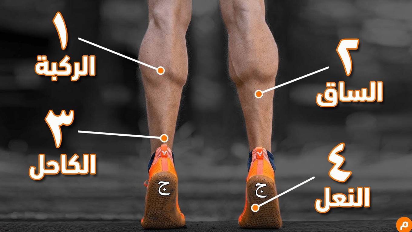 15 عادة صباحية بسيطة يمكنك اعتمادها لدعم صحة الكلى والشعور بمزيد من النشاط يوميًا