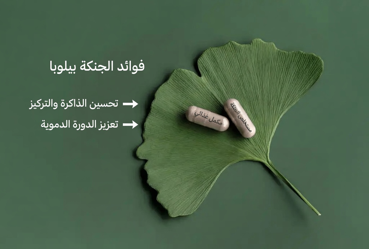 هل تجاوزتَ الستين؟ اكتشف هذه الأعشاب الستة التي قد تدعم الدورة الدموية الصحية في ساقيك طبيعيًا