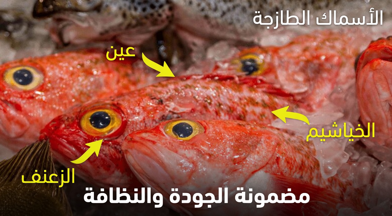 أفضل 8 أنواع من الأسماك التي يجب ألا تأكلها أبداً