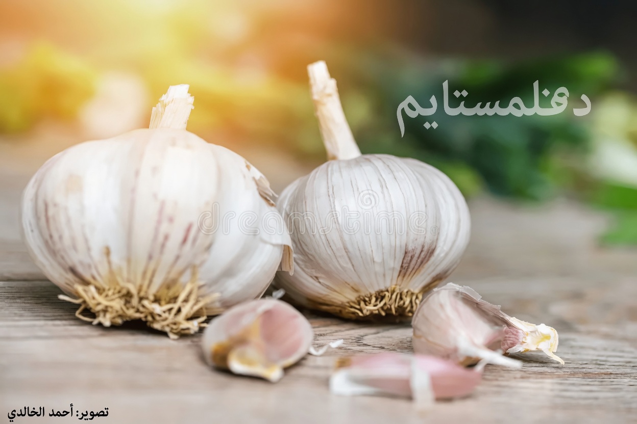 أفضل 10 أطعمة خارقة تُحارب البيلة البروتينية وتمنح كليتيك حياة جديدة – بدءًا من 7 أيام فقط